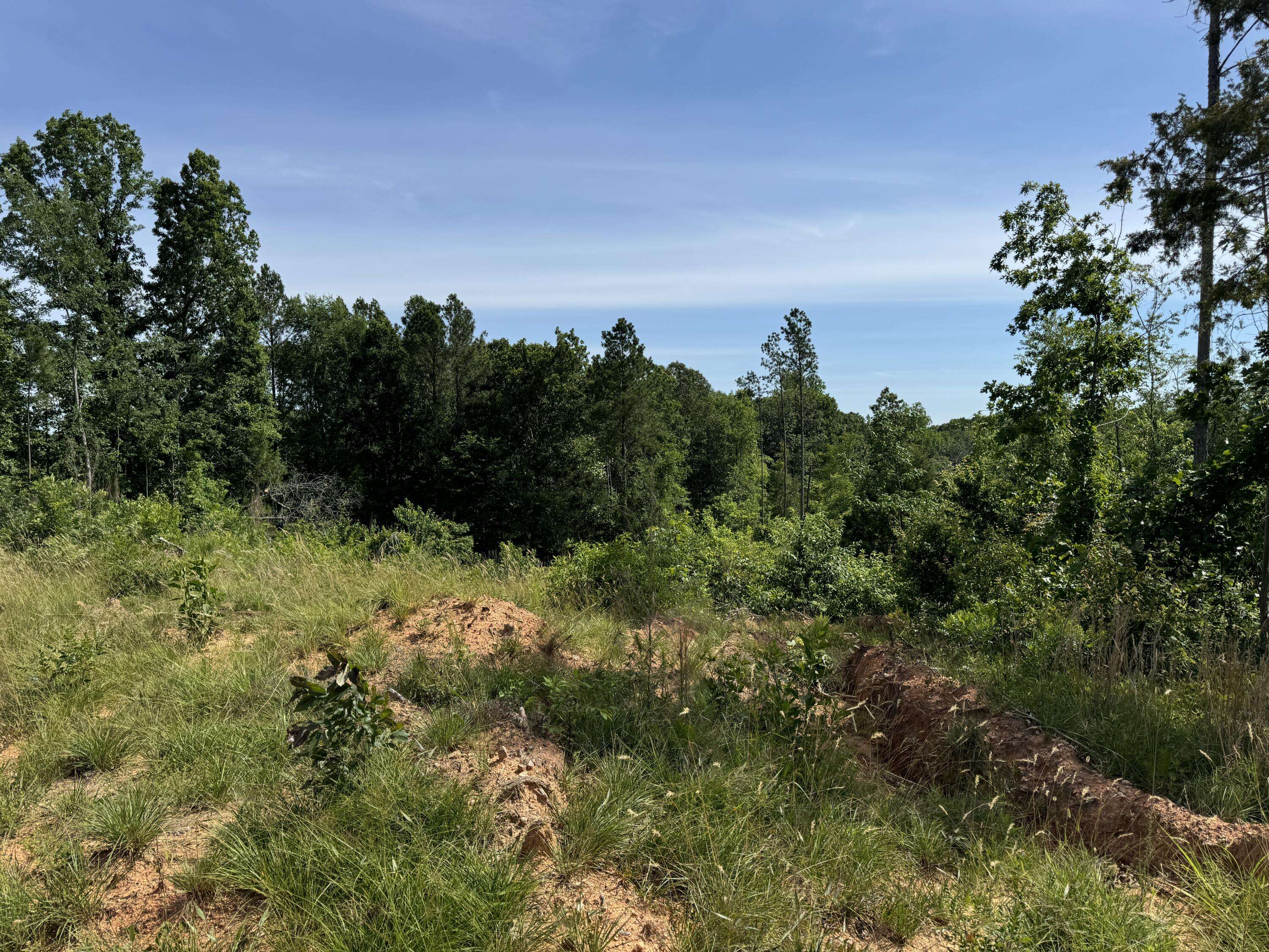 Jeter Cemetery Road,  Union,  SC 29379
