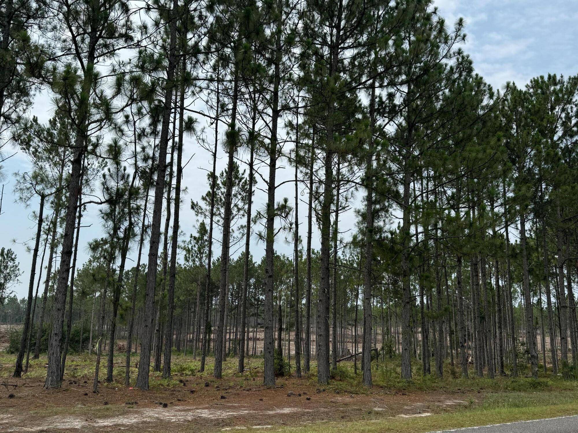 142113 Cooks Bridge Road, Aiken, SC 29805