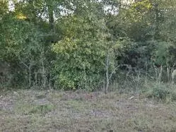 Williston, SC 29853,Shad Road #Lot 31