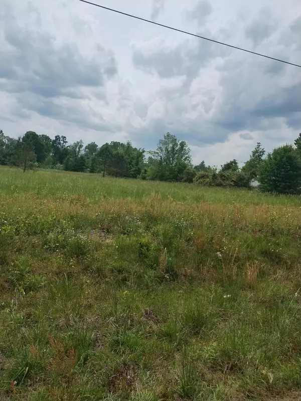 0 Old Waynesboro Road, Lot 3 Road, Waynesboro, GA 30830