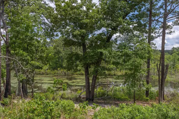 822 Hutto Pond Rd Road, Aiken, SC 29805