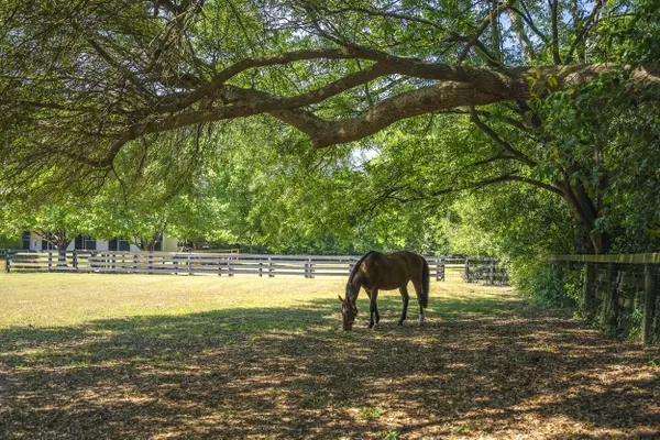 Aiken, SC 29803,1242 Audubon Drive SE