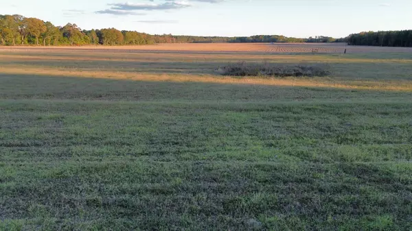 Binnicker Bridge Road, Cope, SC 29038