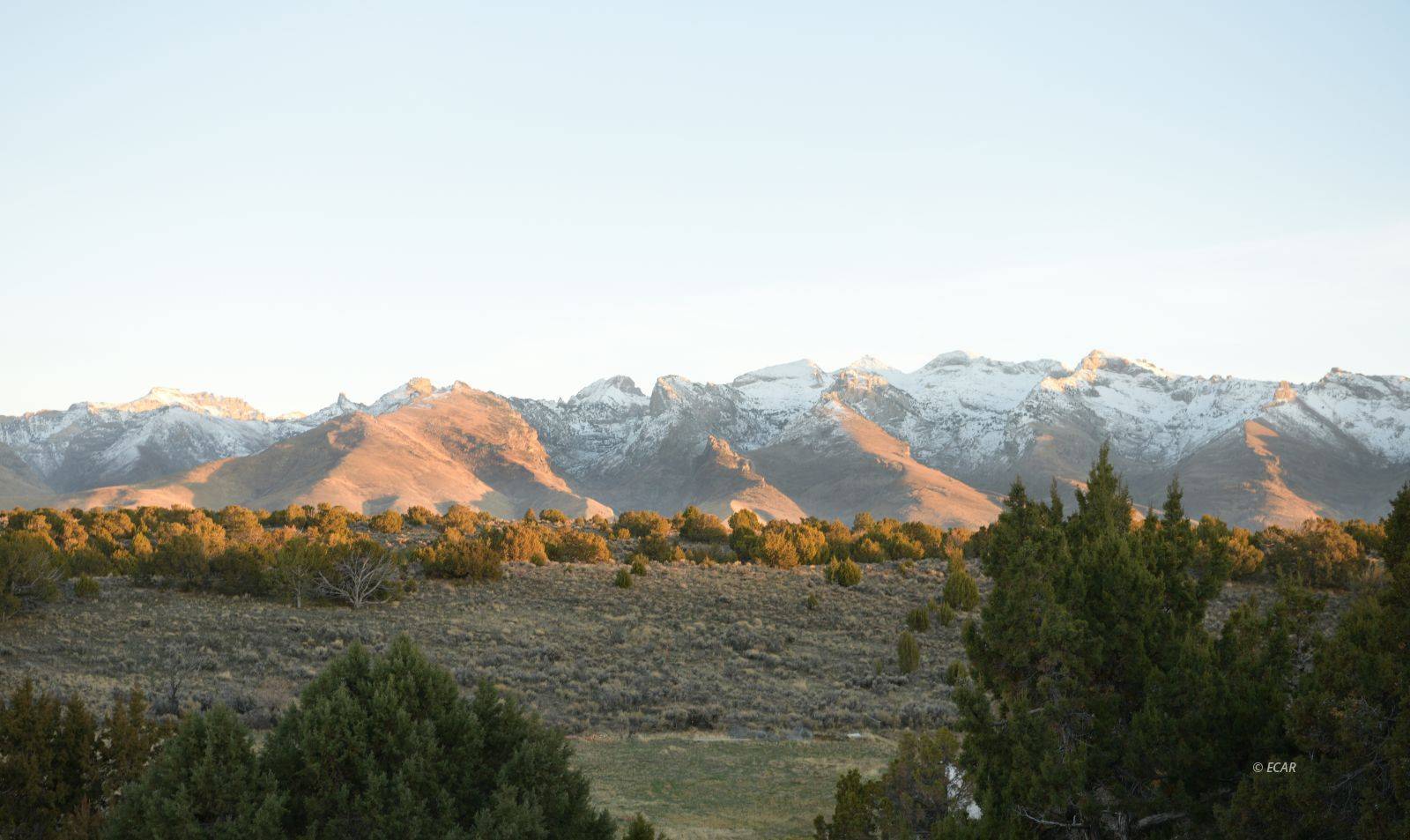 Spring Creek, NV 89815,658 Spring Creek Pkwy