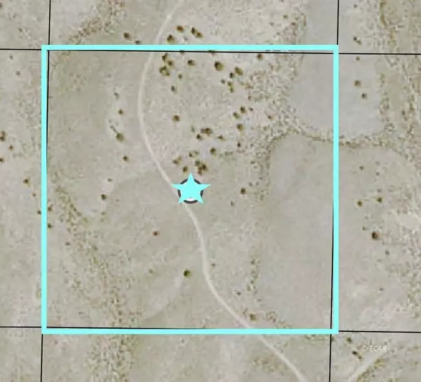 S29 T38N R68E, Montello, NV 89830