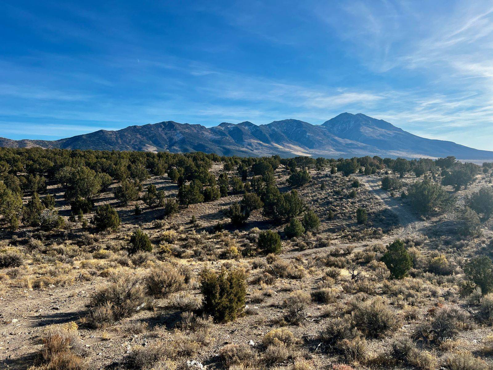 9.76 ac Sec 29 T38N R70E HLS, Montello, NV 89830