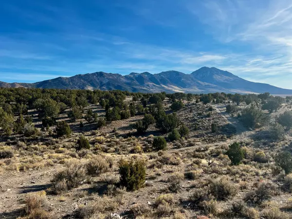 9.76 ac Sec 29 T38N R70E HLS, Montello, NV 89830