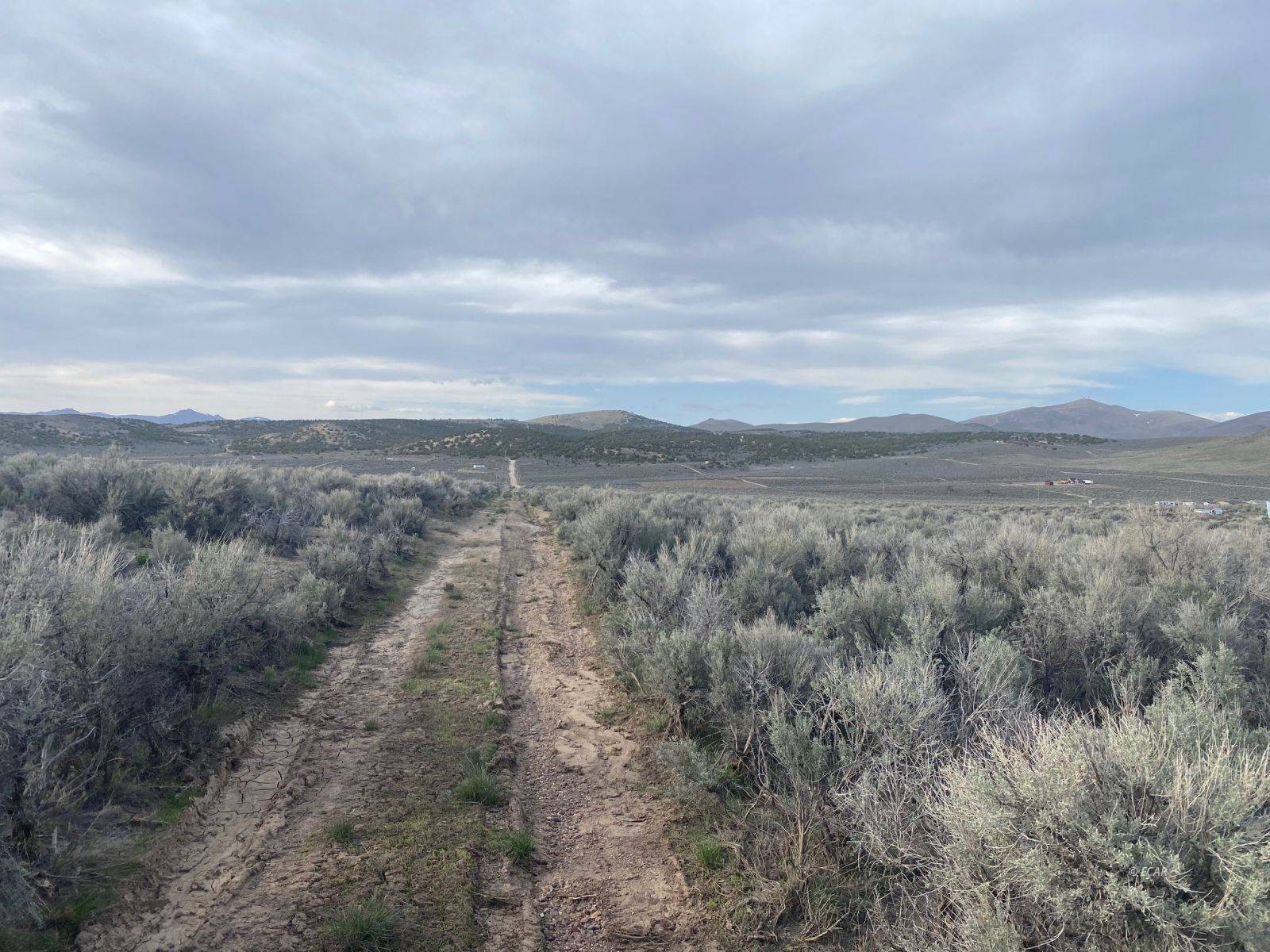 Elko, NV 89801,Fairview AVE