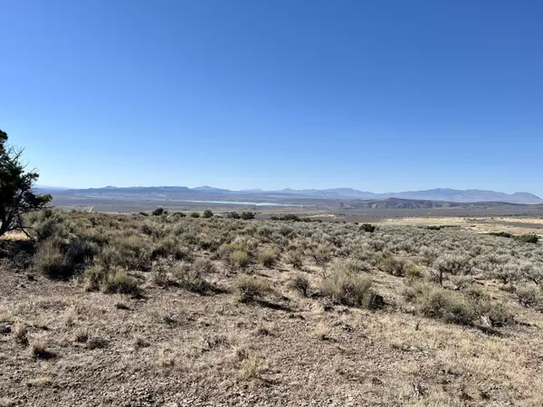 TBD Emigrant CT, Spring Creek, NV 89815