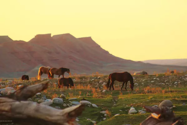 PAINT ROCK CANYON RANCH, Hyattville, WY 82428