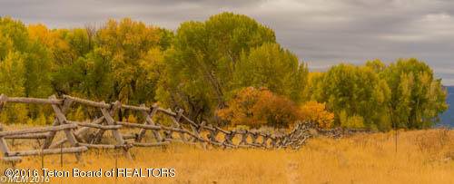 Driggs, ID 83422,566 AMY Lane