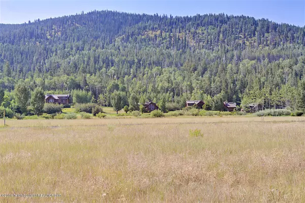 60 RAMMELL Drive, Victor, ID 83455