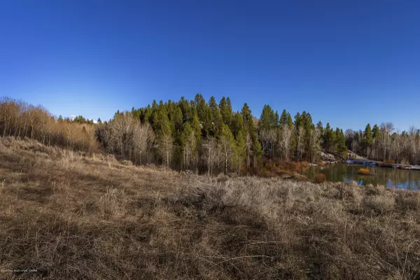 Tetonia, ID 83452,10435 SNOWY Lane