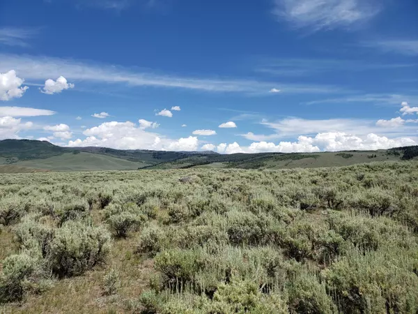 Cora, WY 82925,2 LOZIER RANCH