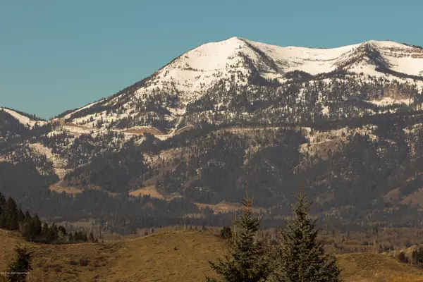 729 RODEO Drive, Jackson, WY 83001