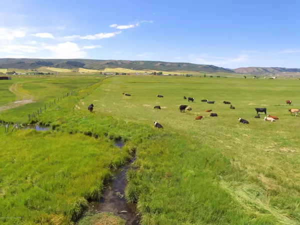 MEADOW NYA HWY 238, Afton, WY 83110