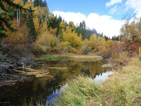 3975 N FISH CREEK Road, Wilson, WY 83014
