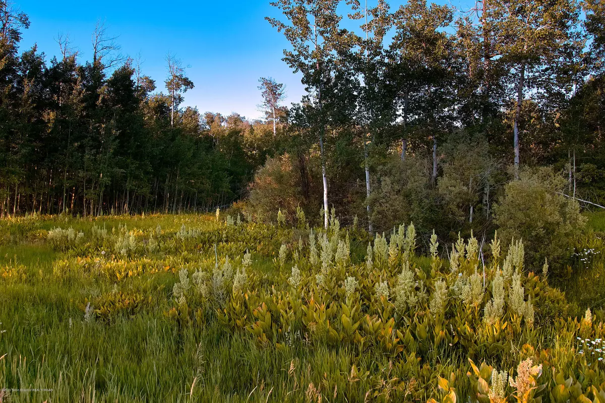 Tetonia, ID 83452,6379 N LEIGH CREEK Road