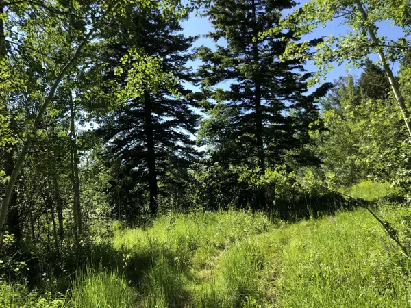 Bedford, WY 83112,2057 STRAWBERRY CREEK Road