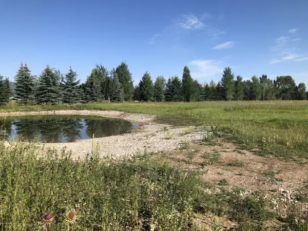 Victor, ID 83455,248 REED Road