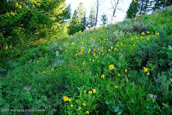 Moran, WY 83013,15245 E TETON WILDERNESS DRIVE
