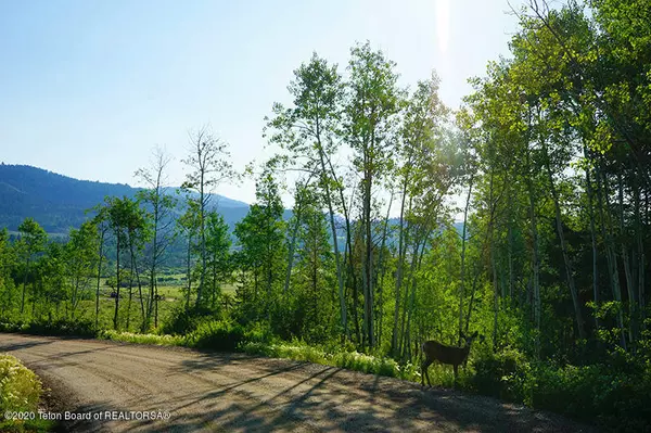 Moran, WY 83013,15245 E TETON WILDERNESS DRIVE