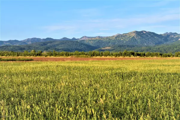 Tetonia, ID 83455,4250 N 1000 E