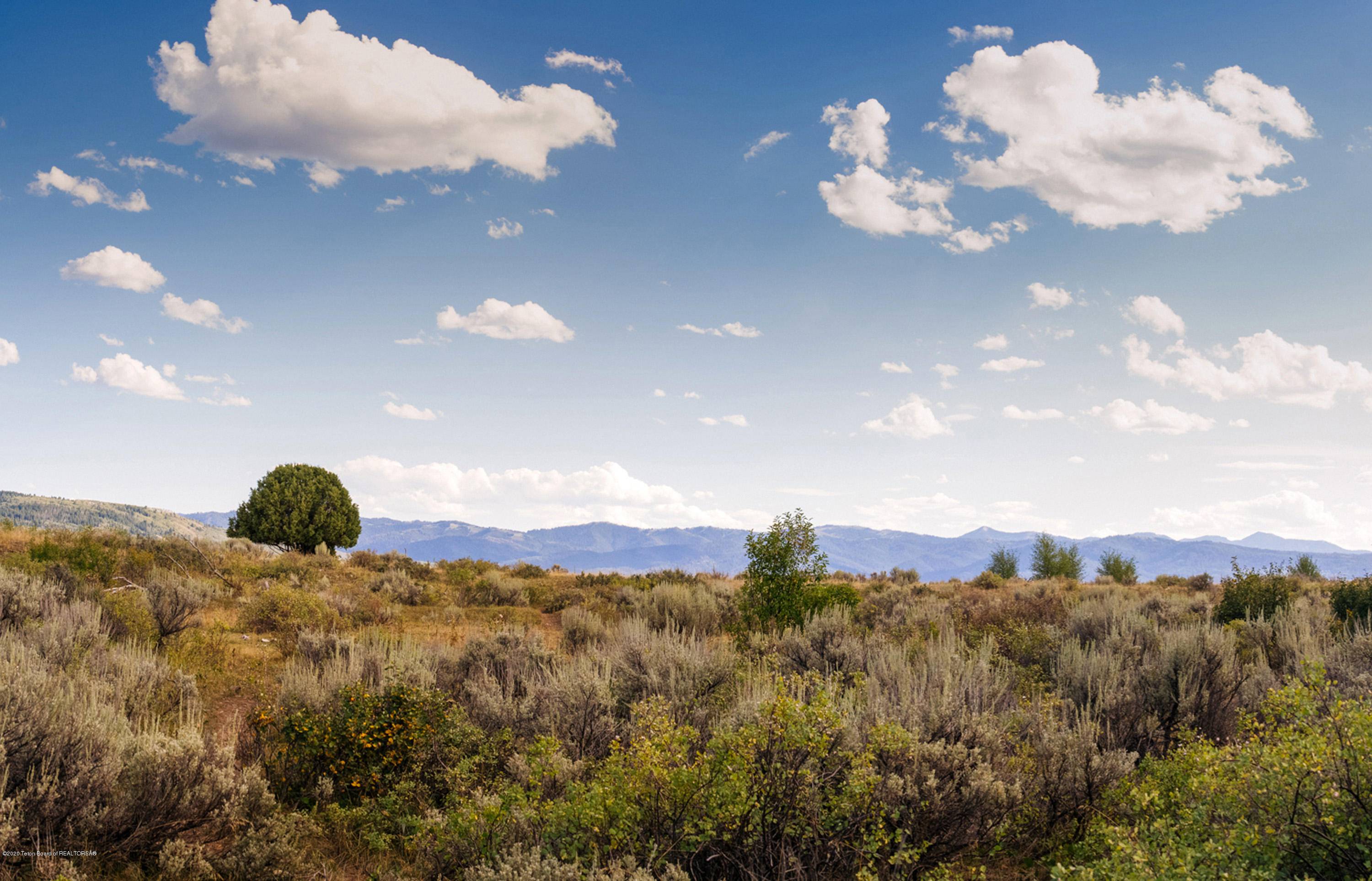 Driggs, ID 83422,200 LONE COWBOY Road