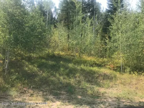 Victor, ID 83455,42 BLACKFOOT Trail