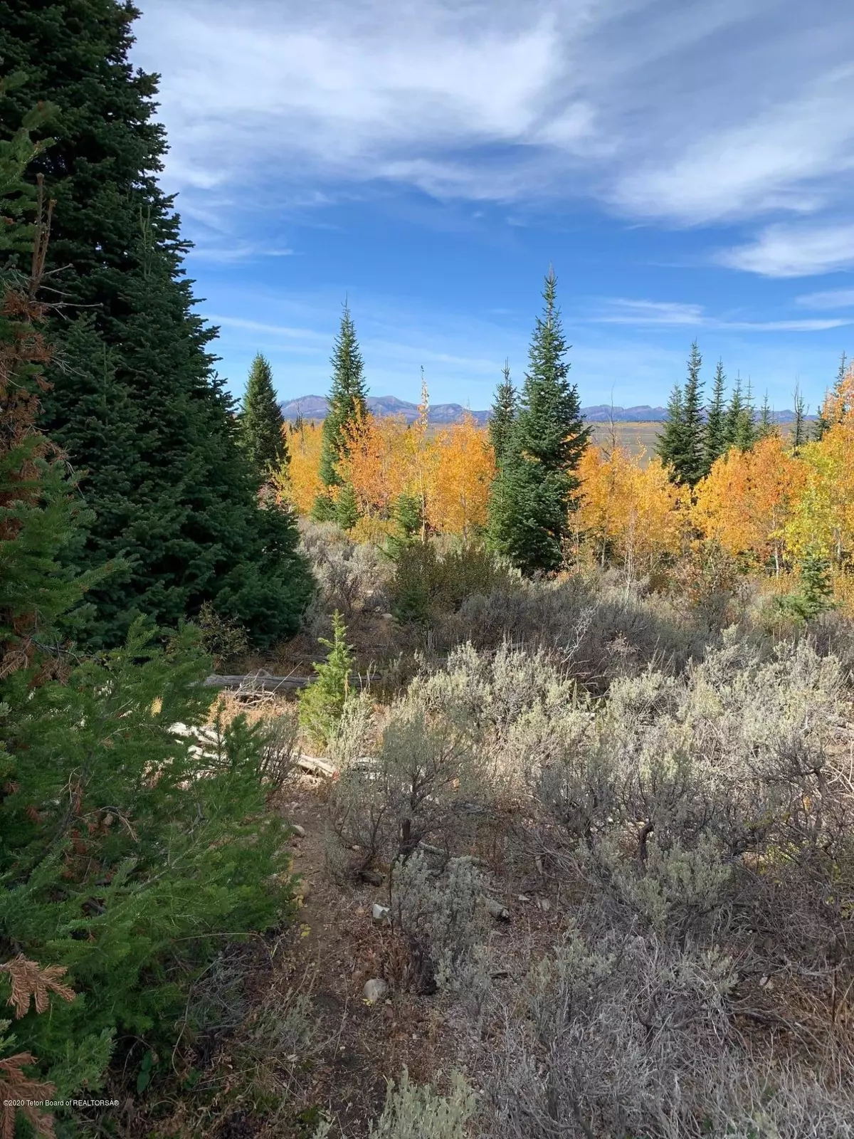 Daniel, WY 83115,ASPEN RIDGE RD