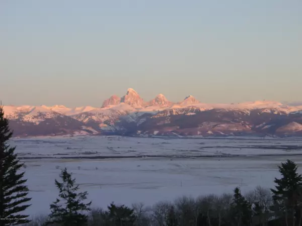 Tetonia, ID 83452,10521 SNOWY LANE