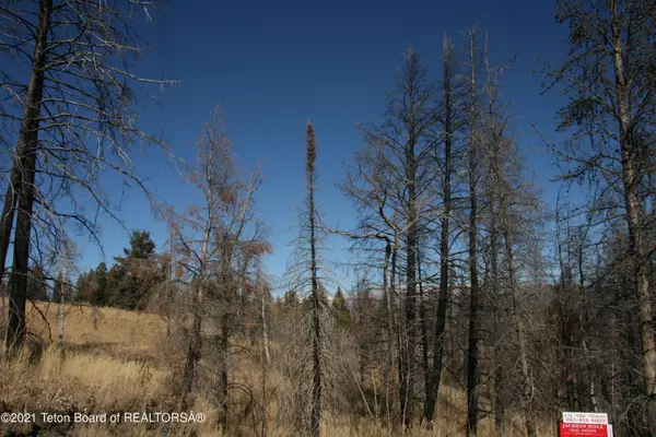 Bondurant, WY 82922,EAGLE HEART LANE