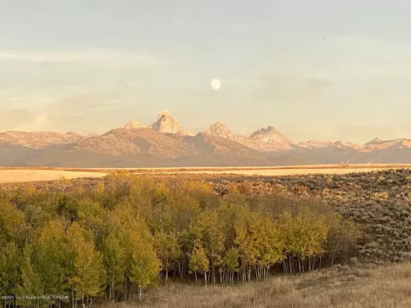 Tetonia, ID 83452,2406 TAMARACK Trail