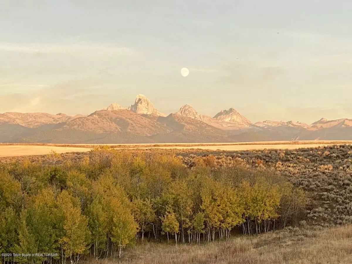 Tetonia, ID 83452,2466 TAMARACK Trail