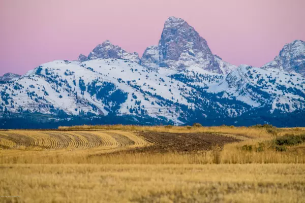 Tetonia, ID 83452,2466 TAMARACK Trail