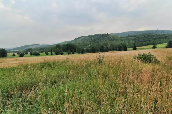 120 PERIMETER Drive, Alta, WY 83414