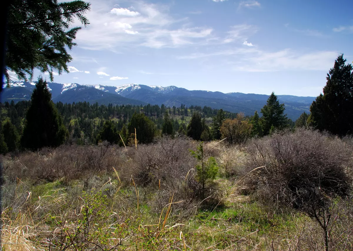 Irwin, ID 83428,102 CUTTHROAT RUN