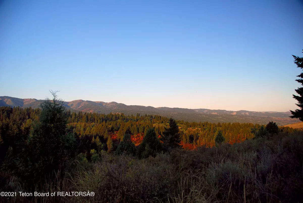 Irwin, ID 83428,LOT 35,36,37BLK4 CUTTHROAT RUN