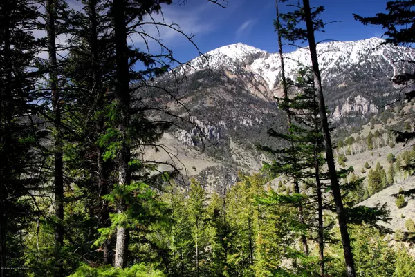 Irwin, ID 83428,L32B4 CUTTHROAT RUN