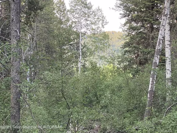 LOT 20 ALPINE MEADOW Loop, Alpine, WY 83128