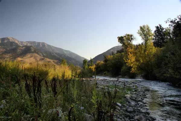 Irwin, ID 83428,454 CUTTHROAT RUN