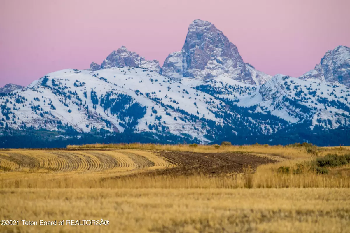 Tetonia, ID 83452,2171 RISING SAGE Road