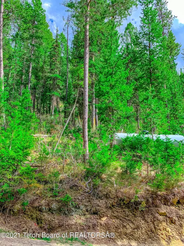 Island Park, ID 83429,4256 MOUNTAIN VIEW Drive