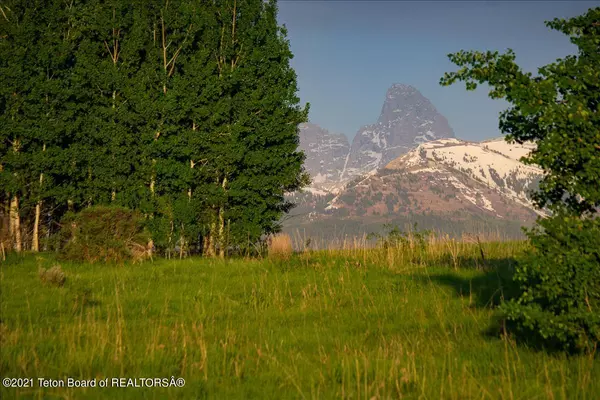 Tetonia, ID 83452,9769 BUCK TOWN Boulevard