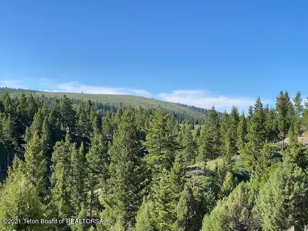 Fairview, WY 83119,NE4 SW4 S TIMBER RIDGE Drive