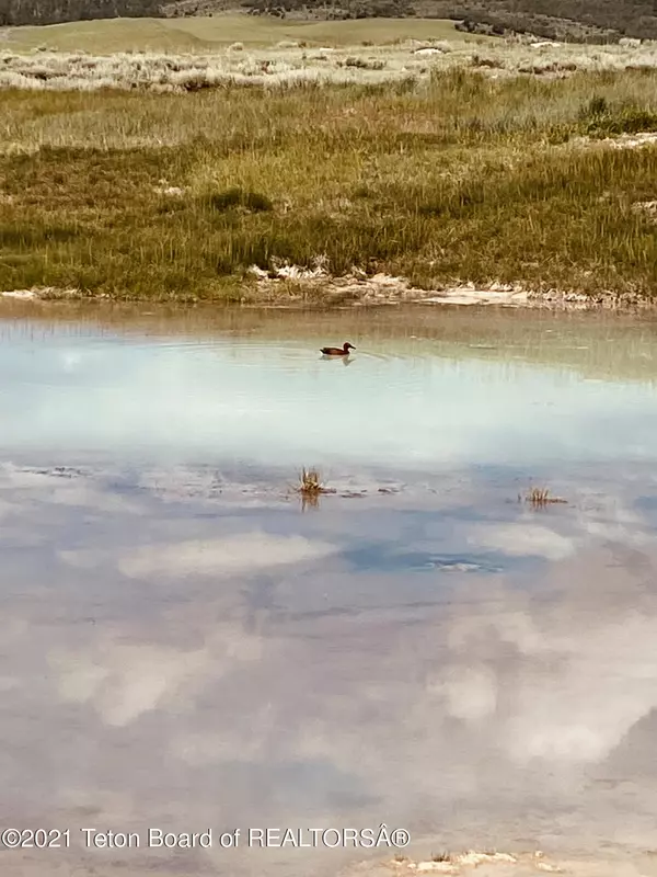 Auburn, WY 83111,5 ACRES HOT SPRINGS AUBURN-FOREST RD