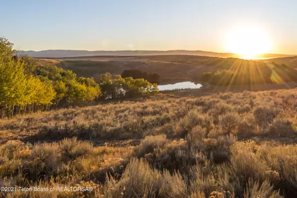 Tetonia, ID 83452,2951 RISING SAGE Road