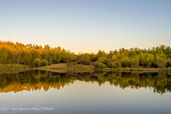 Tetonia, ID 83452,2951 RISING SAGE Road