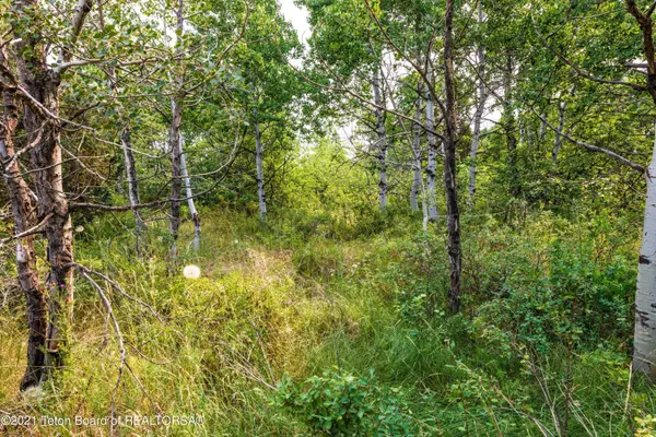 Ashton, ID 83420,1670 ASPEN HEIGHTS Drive