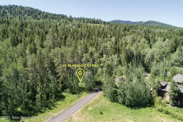 25 BLACKFOOT Trail, Victor, ID 83455